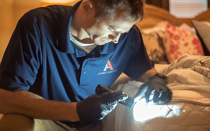 Hicko bed bug inspection